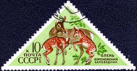 Similar image 21239723