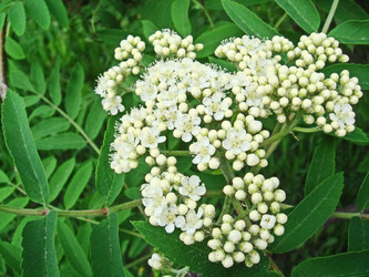 Similar image 21252999