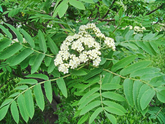 Similar image 21251829