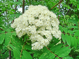 Similar image 21253000