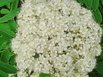 Similar image 21251831