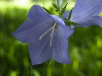 Similar image 21217337