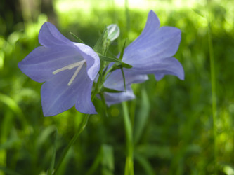 Similar image 21217338