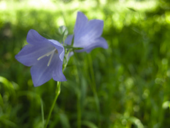 Similar image 21217339