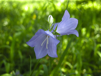 Similar image 21217341