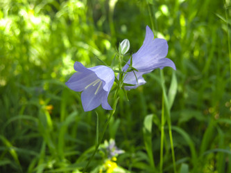 Similar image 21217343