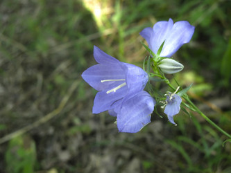 Similar image 21217344