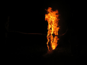 Similar image 21217345