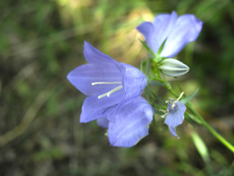 Similar image 21217346