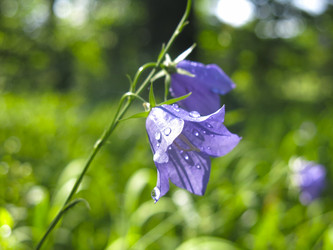 Similar image 21217347