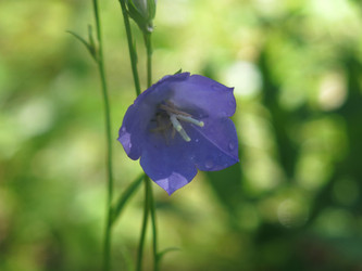 Similar image 21217348