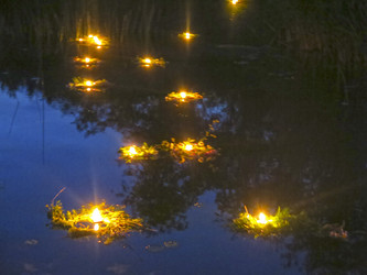 Similar image 21217349