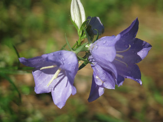 Similar image 21217351