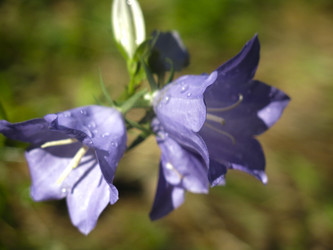 Similar image 21217353