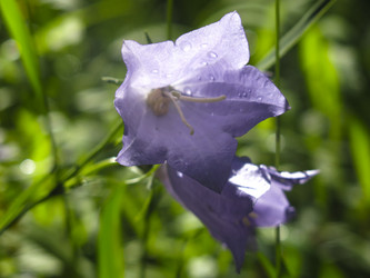 Similar image 21217354