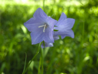 Similar image 21217355