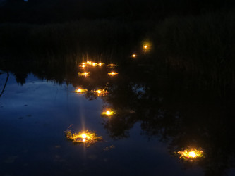 Similar image 21217356