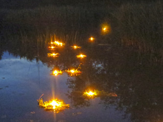 Similar image 21217518