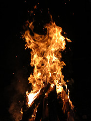 Similar image 21217519