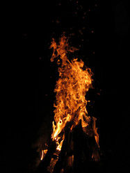 Similar image 21217520