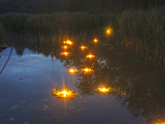 Similar image 21217521