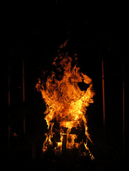 Similar image 21217522