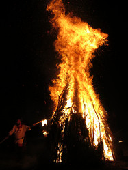 Similar image 21217523