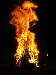 Similar image 21217524