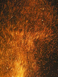 Similar image 21217528