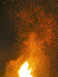 Similar image 21217531