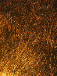 Similar image 21217533