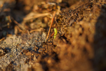 Similar image 21240102