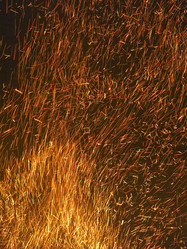 Similar image 21217534