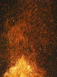 Similar image 21217538