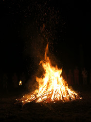 Similar image 21217546