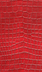 Similar image 21244438