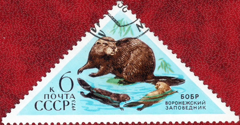 Similar image 21239746