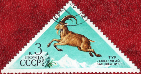 Similar image 21239747