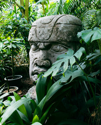 Similar image 21216114