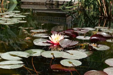 Similar image 21216117