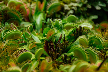 Similar image 21216118