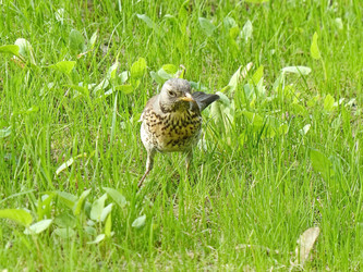 Similar image 21239759