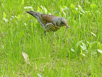 Similar image 21224904