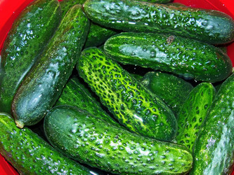 Similar image 21239760