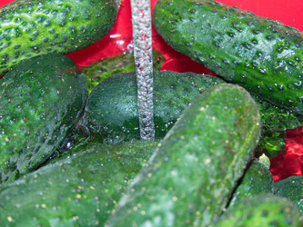 Similar image 21224905