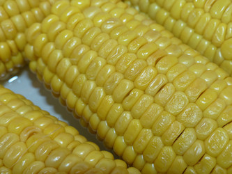 Similar image 21224906