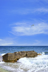 Similar image 21215284