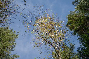 Similar image 21215285