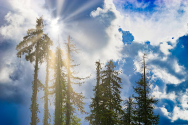 Similar image 21215286