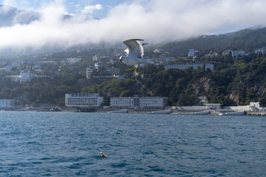 Similar image 21215305